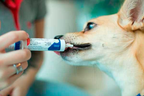 Indústrias Veterinárias